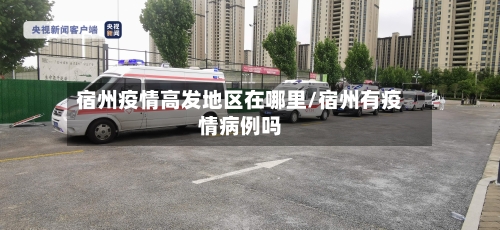 宿州疫情高发地区在哪里/宿州有疫情病例吗-第1张图片