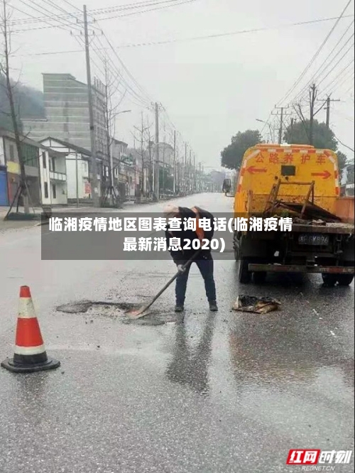 临湘疫情地区图表查询电话(临湘疫情最新消息2020)-第1张图片