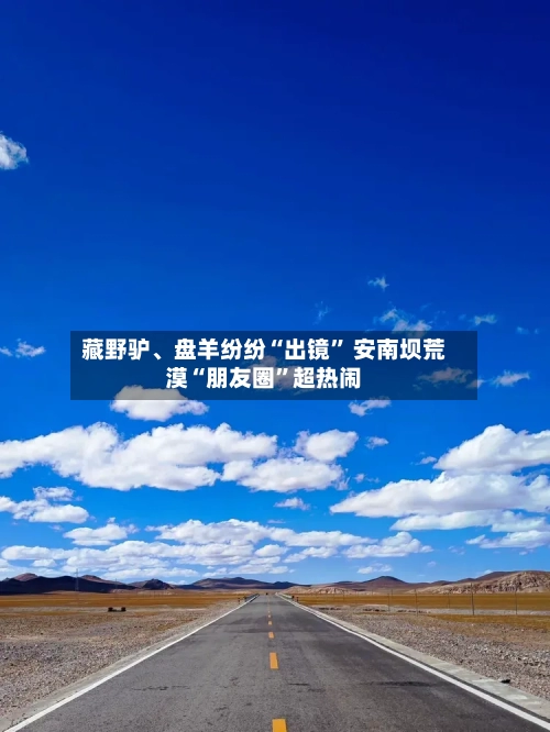 藏野驴	、盘羊纷纷“出镜” 安南坝荒漠“朋友圈	”超热闹-第1张图片