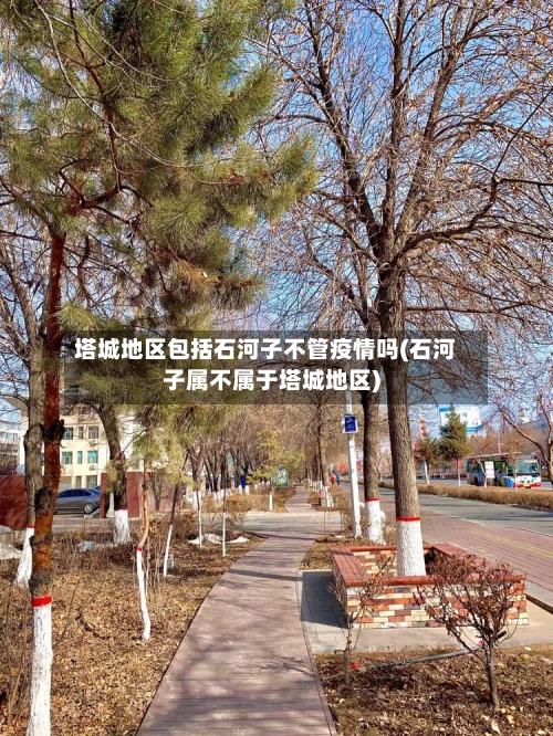 塔城地区包括石河子不管疫情吗(石河子属不属于塔城地区)-第1张图片