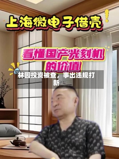 林园投资被查，事出违规打新-第1张图片