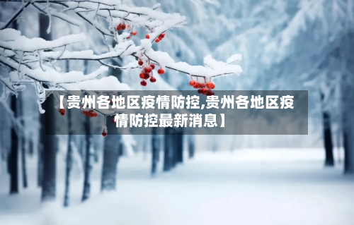 【贵州各地区疫情防控,贵州各地区疫情防控最新消息】-第1张图片