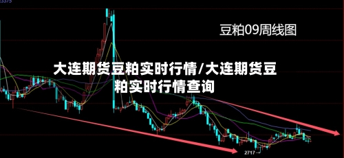 大连期货豆粕实时行情/大连期货豆粕实时行情查询-第1张图片