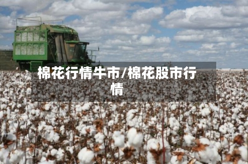 棉花行情牛市/棉花股市行情-第1张图片