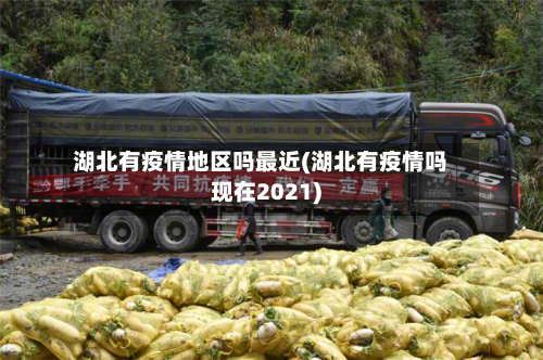 湖北有疫情地区吗最近(湖北有疫情吗现在2021)-第1张图片