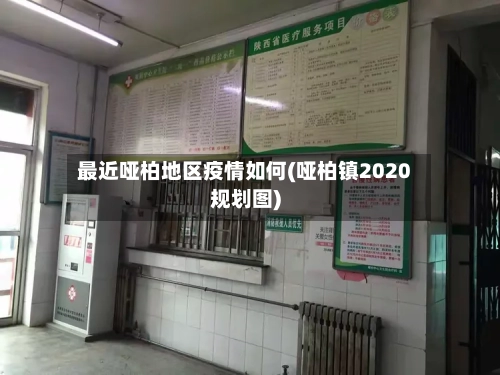 最近哑柏地区疫情如何(哑柏镇2020规划图)-第1张图片