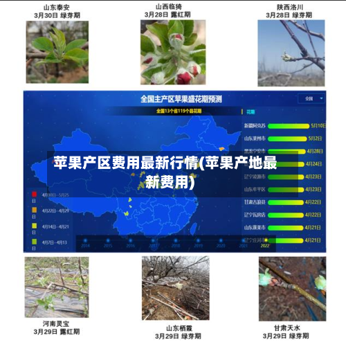 苹果产区费用最新行情(苹果产地最新费用)-第1张图片