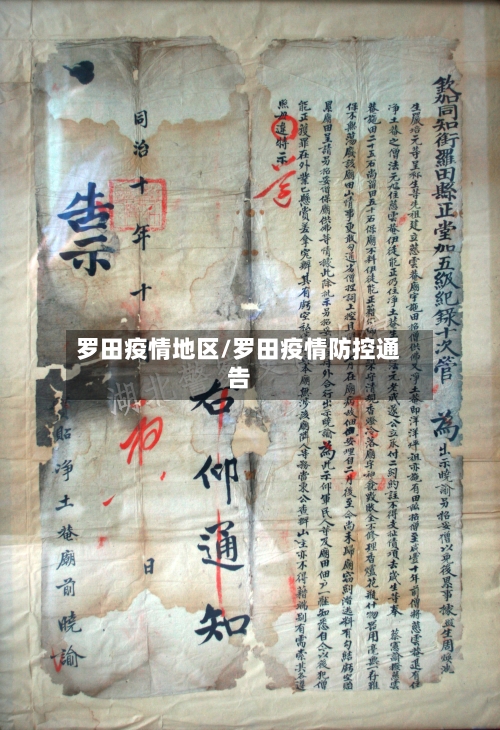 罗田疫情地区/罗田疫情防控通告-第1张图片