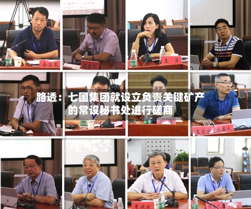 路透：七国集团就设立负责关键矿产的常设秘书处进行磋商-第1张图片