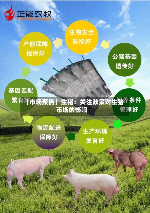 【市场聚焦】生猪：关注政策对生猪市场的影响-第1张图片