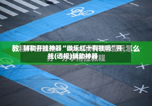 辅助开挂神器“微乐红十有挂吗”开挂(透视)辅助神器-第1张图片