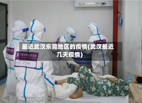 最近武汉东莞地区的疫情(武汉最近几天疫情)-第1张图片