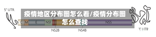 疫情地区分布图怎么看/疫情分布图怎么查找-第1张图片