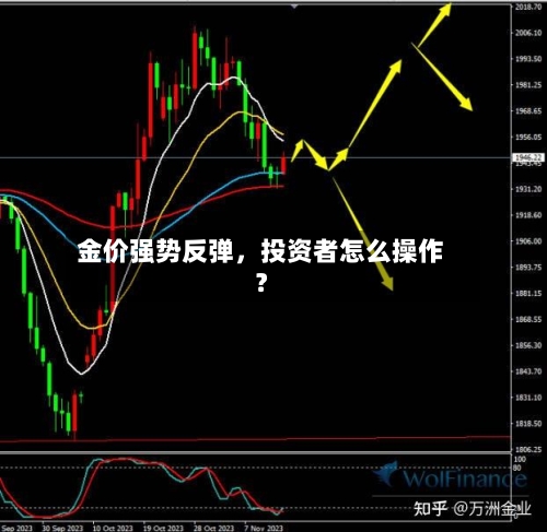 金价强势反弹，投资者怎么操作？-第1张图片