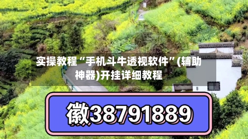 实操教程“手机斗牛透视软件”(辅助神器)开挂详细教程-第1张图片