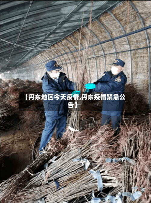 【丹东地区今天疫情,丹东疫情紧急公告】-第1张图片