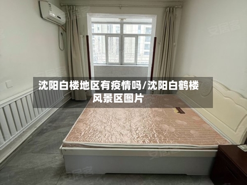 沈阳白楼地区有疫情吗/沈阳白鹤楼风景区图片-第1张图片