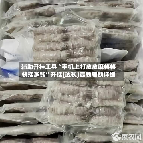 辅助开挂工具“手机上打皮皮麻将将装挂多钱	”开挂(透视)最新辅助详细-第1张图片