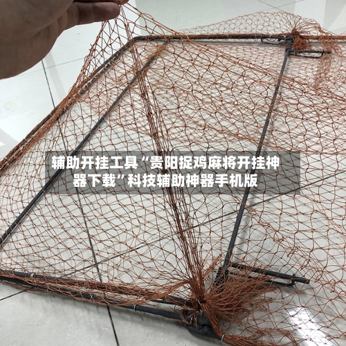 辅助开挂工具“贵阳捉鸡麻将开挂神器下载	”科技辅助神器手机版-第1张图片