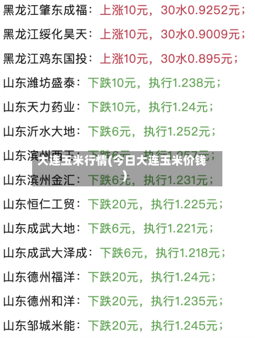 大连玉米行情(今日大连玉米价钱)-第1张图片