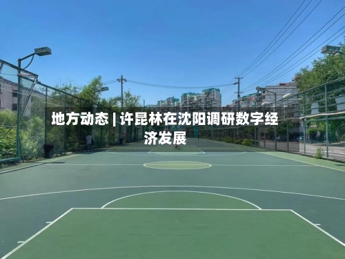 地方动态 | 许昆林在沈阳调研数字经济发展-第1张图片
