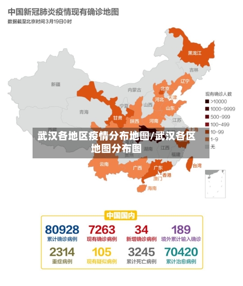 武汉各地区疫情分布地图/武汉各区地图分布图-第1张图片