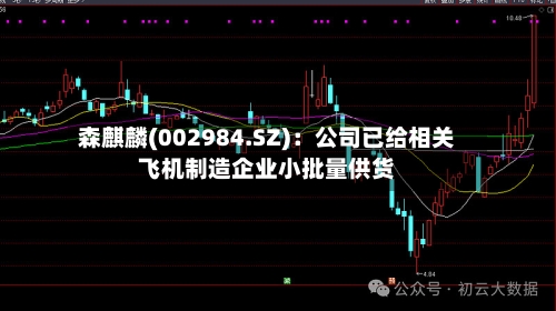 森麒麟(002984.SZ)：公司已给相关飞机制造企业小批量供货-第1张图片