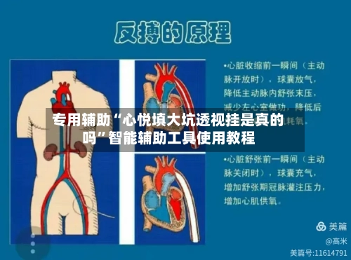 专用辅助“心悦填大坑透视挂是真的吗”智能辅助工具使用教程-第1张图片