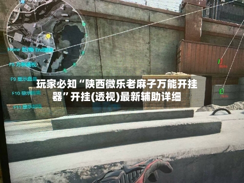 玩家必知“陕西微乐老麻子万能开挂器”开挂(透视)最新辅助详细-第1张图片