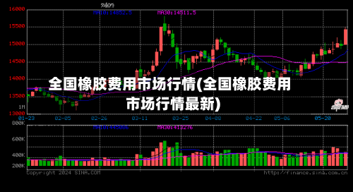 全国橡胶费用市场行情(全国橡胶费用市场行情最新)-第1张图片
