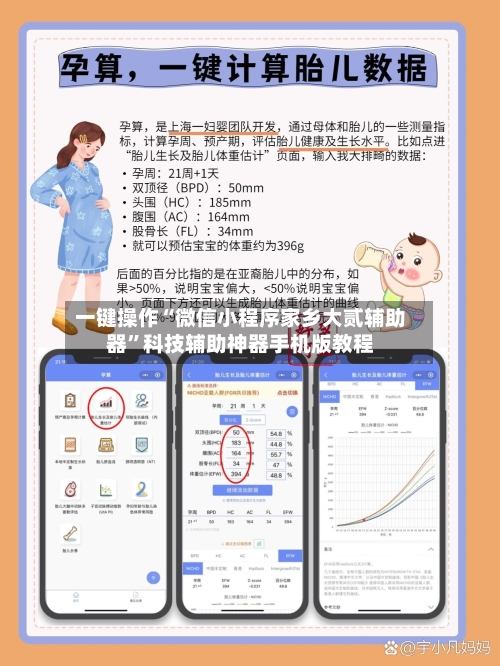 一键操作“微信小程序家乡大贰辅助器”科技辅助神器手机版教程-第1张图片