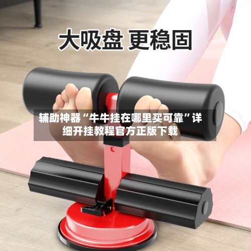 辅助神器“牛牛挂在哪里买可靠	”详细开挂教程官方正版下载-第1张图片