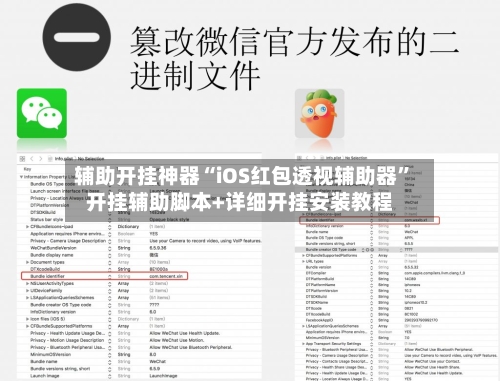 辅助开挂神器“iOS红包透视辅助器”开挂辅助脚本+详细开挂安装教程-第1张图片