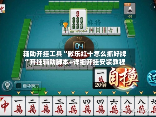 辅助开挂工具“微乐红十怎么抓好牌	”开挂辅助脚本+详细开挂安装教程-第1张图片