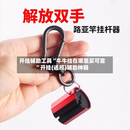 开挂辅助工具“牛牛挂在哪里买可靠”开挂(透视)辅助神器-第1张图片