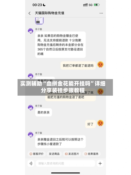 实测辅助“血拼金花能开挂吗	”详细分享装挂步骤教程-第1张图片