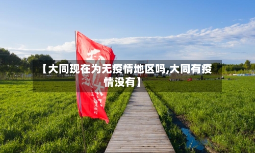 【大同现在为无疫情地区吗,大同有疫情没有】-第1张图片