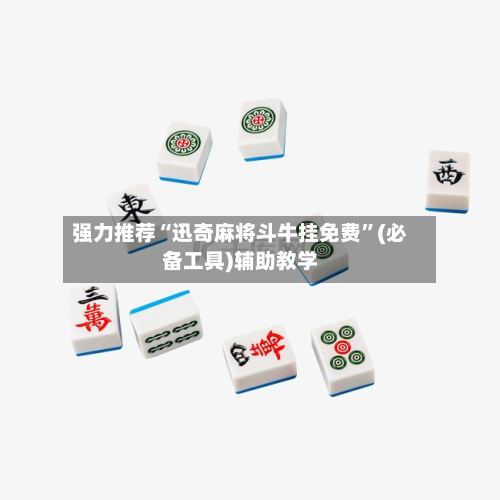 强力推荐“迅奇麻将斗牛挂免费”(必备工具)辅助教学-第1张图片