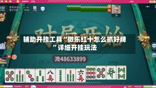 辅助开挂工具“微乐红十怎么抓好牌”详细开挂玩法-第1张图片