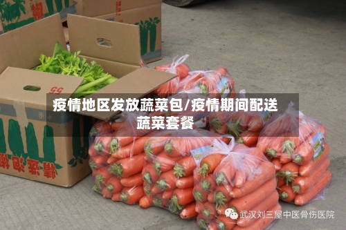 疫情地区发放蔬菜包/疫情期间配送蔬菜套餐-第1张图片