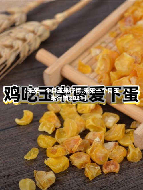 【未来一个月玉米行情,未来一个月玉米行情2021】-第1张图片