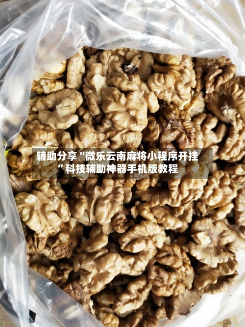 辅助分享“微乐云南麻将小程序开挂”科技辅助神器手机版教程-第1张图片
