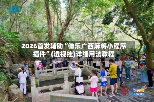 2026首发辅助“微乐广西麻将小程序插件”(透视挂)详细用法教程-第1张图片