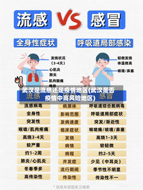 武汉是流感还是疫情地区(武汉是否疫情中高风险地区)-第1张图片
