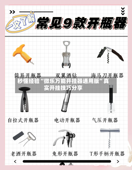 秒懂经验“微乐万能开挂器通用版	”真实开挂技巧分享-第1张图片