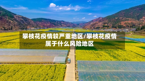 攀枝花疫情较严重地区/攀枝花疫情属于什么风险地区-第1张图片