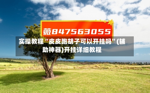 实操教程“皮皮跑胡子可以开挂吗”(辅助神器)开挂详细教程-第1张图片