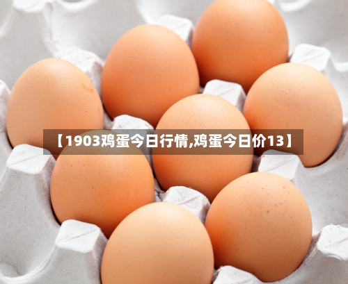 【1903鸡蛋今日行情,鸡蛋今日价13】-第1张图片