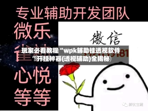 玩家必看教程“wpk辅助挂透视软件”开挂神器{透视辅助}全揭秘-第1张图片