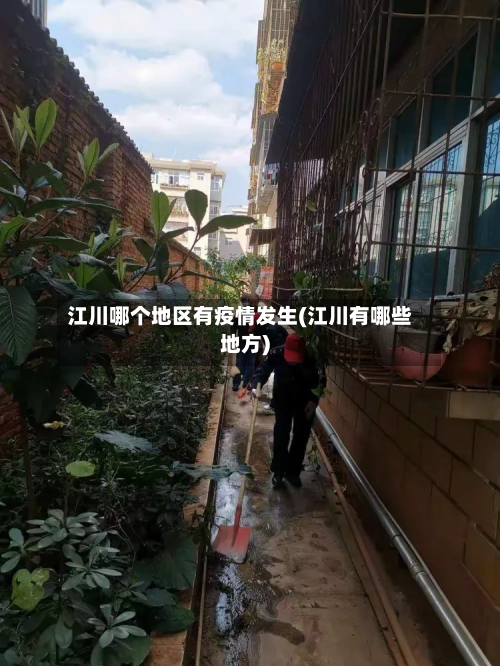 江川哪个地区有疫情发生(江川有哪些地方)-第1张图片
